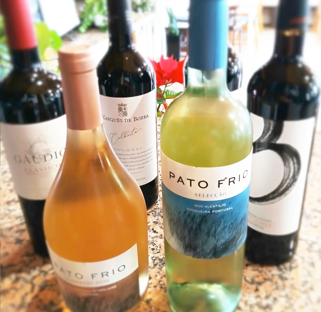 Prime Wine Testing at TOMIK